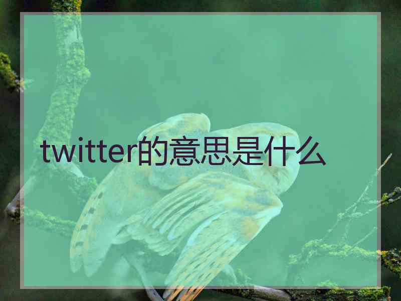 twitter的意思是什么