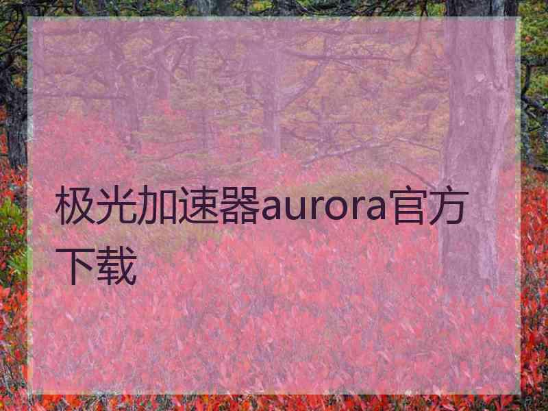 极光加速器aurora官方下载