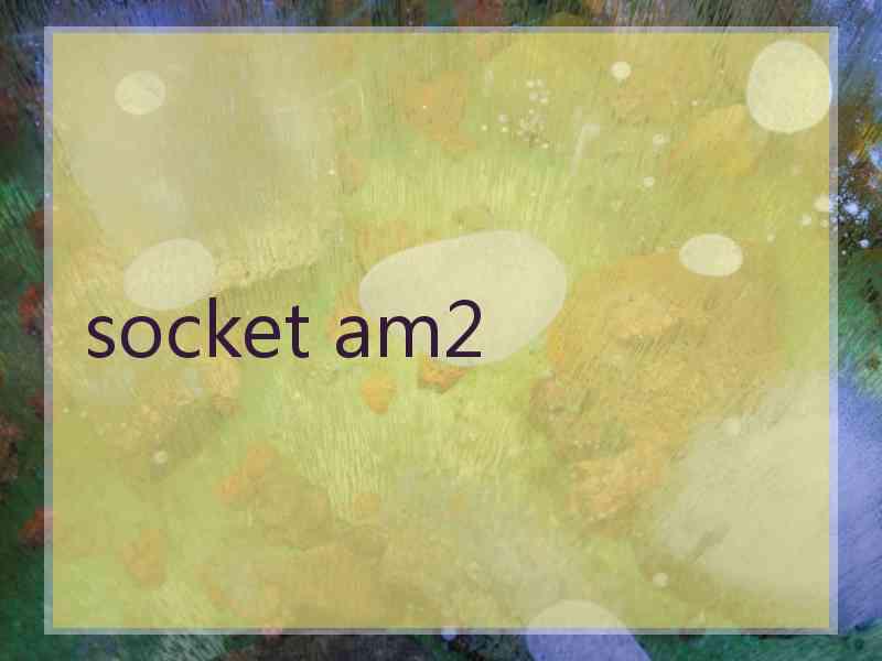 socket am2