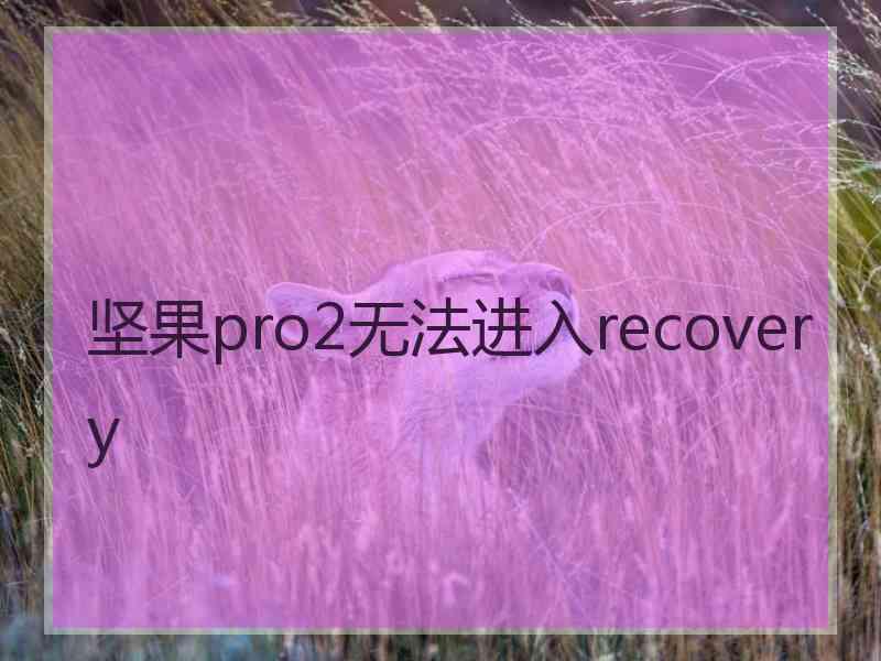 坚果pro2无法进入recovery