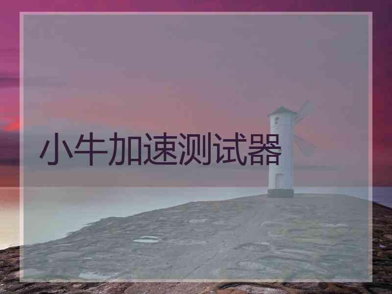 小牛加速测试器