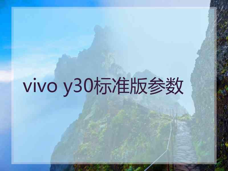 vivo y30标准版参数