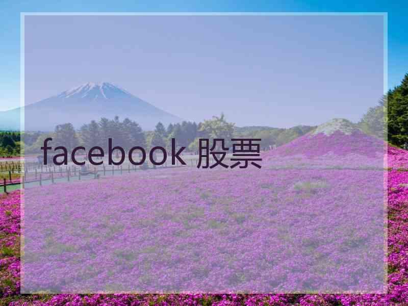 facebook 股票