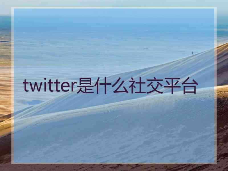 twitter是什么社交平台