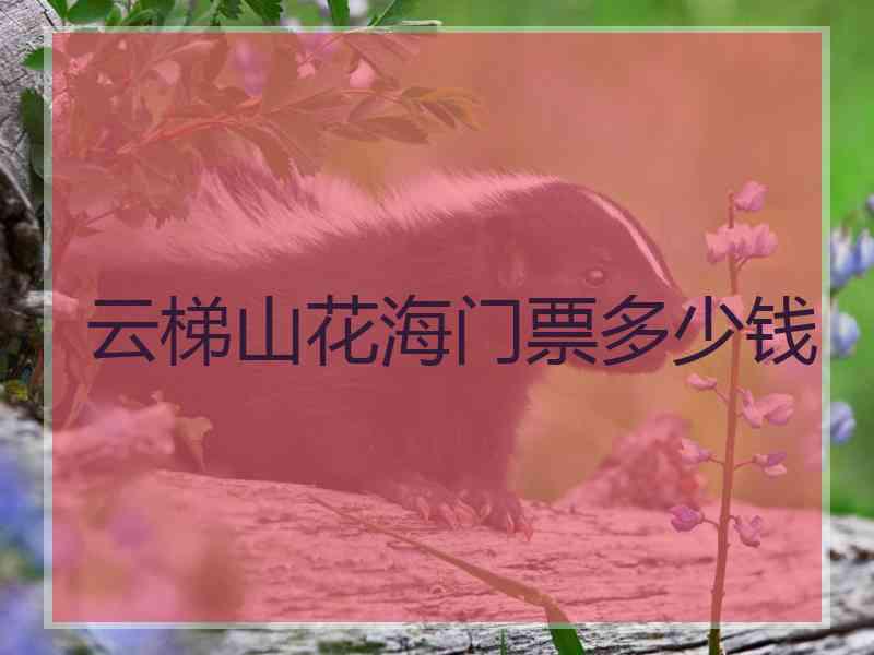 云梯山花海门票多少钱