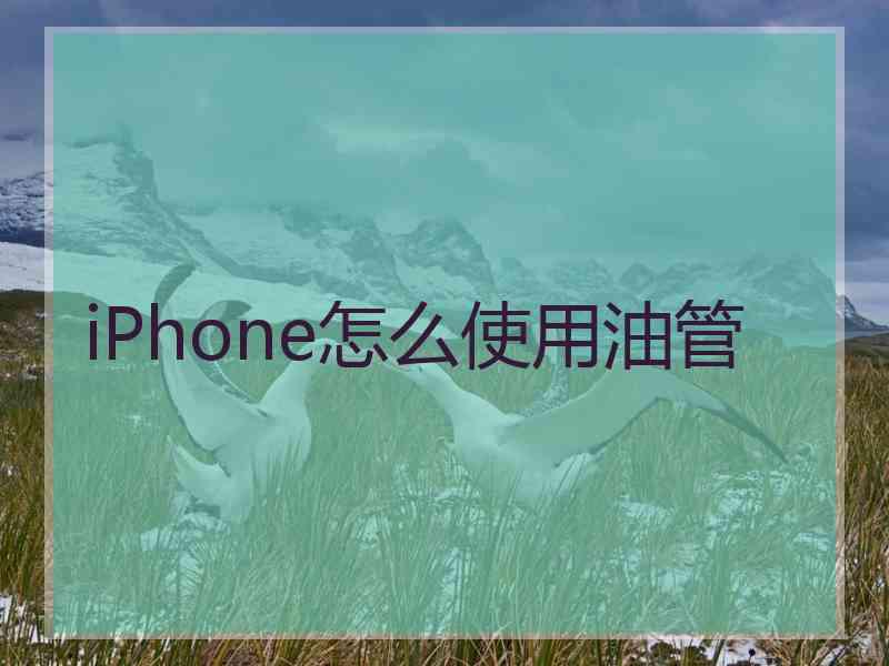 iPhone怎么使用油管