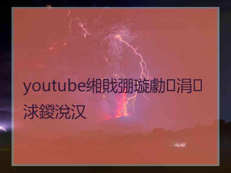 youtube缃戝弸璇勮涓浗鍐涗汉