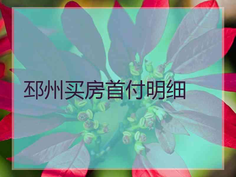 邳州买房首付明细