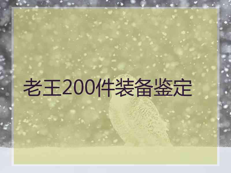 老王200件装备鉴定