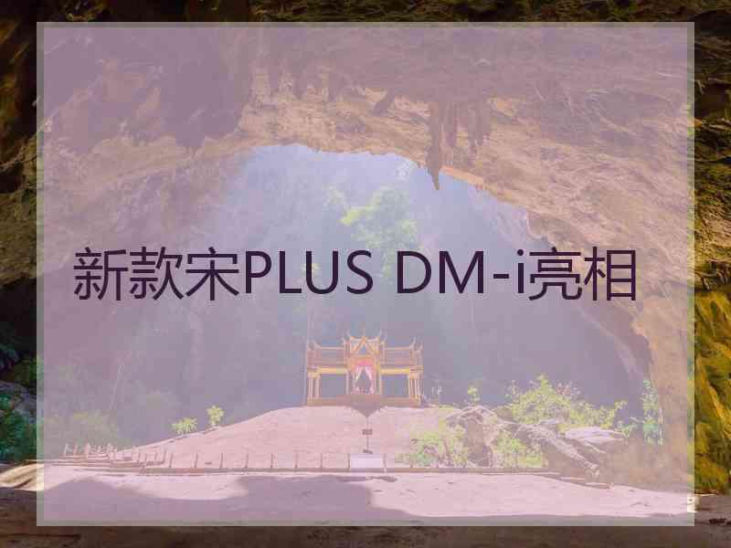 新款宋PLUS DM-i亮相