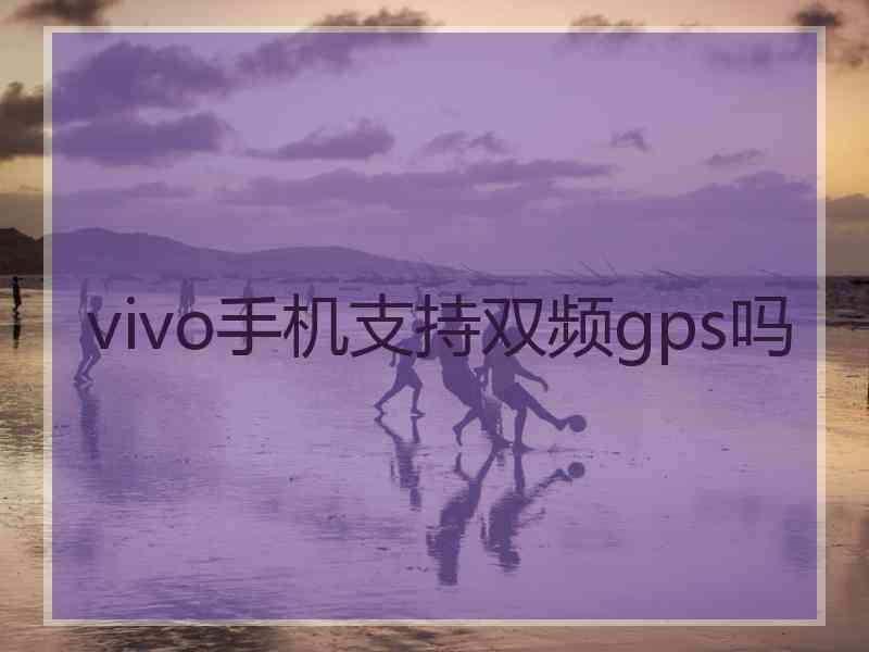 vivo手机支持双频gps吗