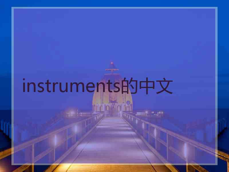 instruments的中文