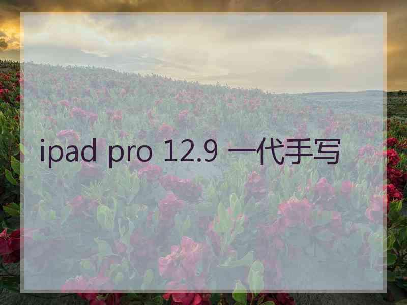 ipad pro 12.9 一代手写