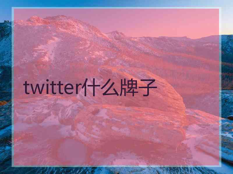 twitter什么牌子