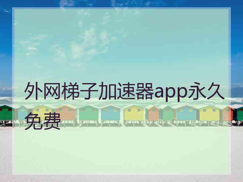 外网梯子加速器app永久免费