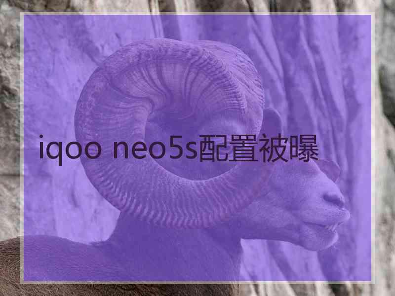 iqoo neo5s配置被曝