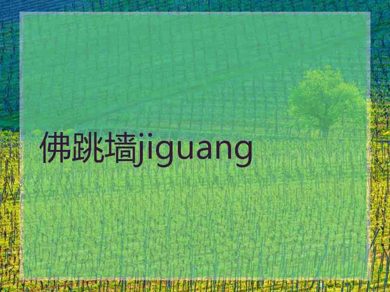 佛跳墙jiguang