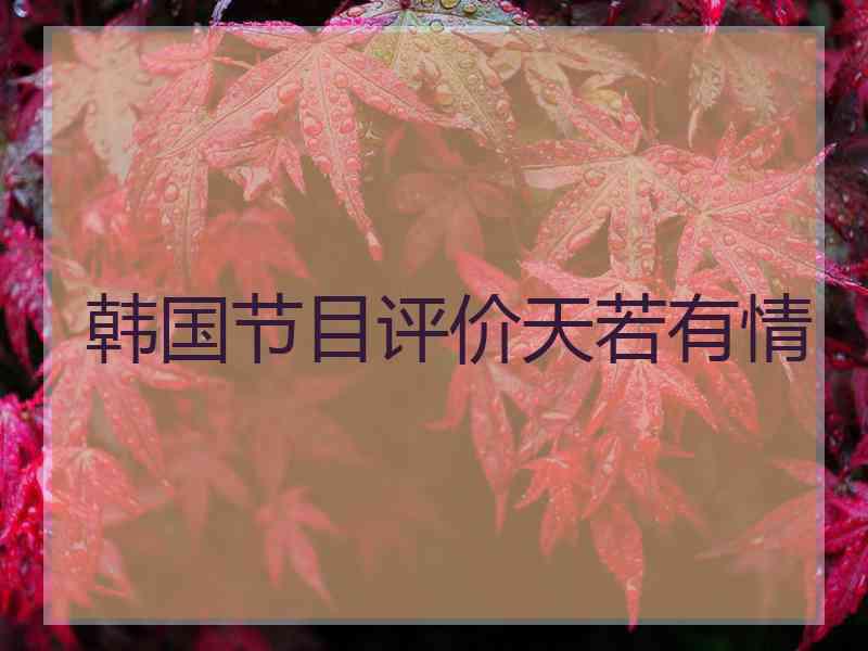 韩国节目评价天若有情