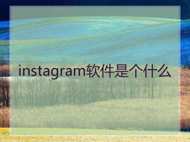 instagram软件是个什么