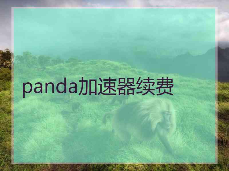 panda加速器续费