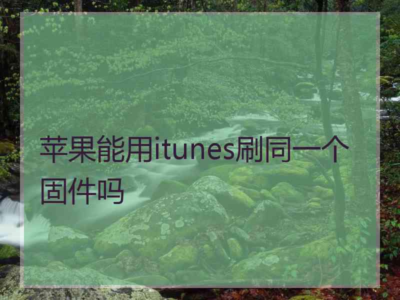 苹果能用itunes刷同一个固件吗