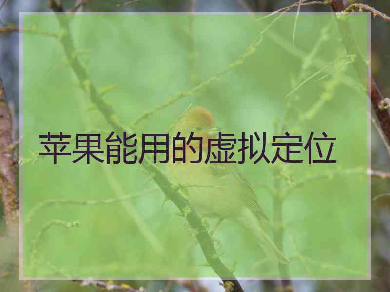 苹果能用的虚拟定位