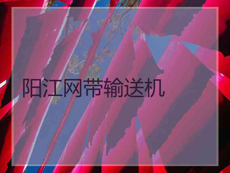 阳江网带输送机