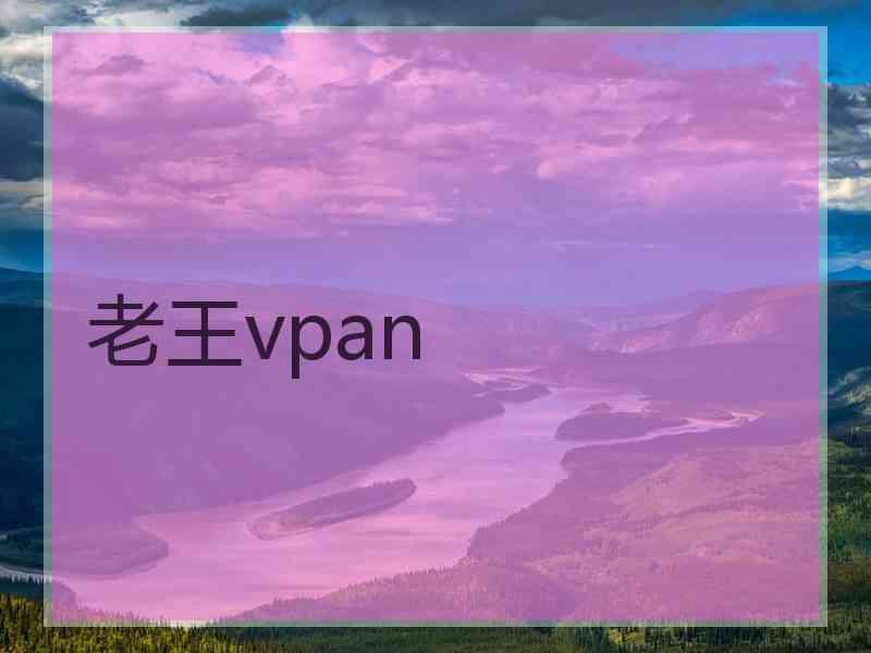 老王vpan