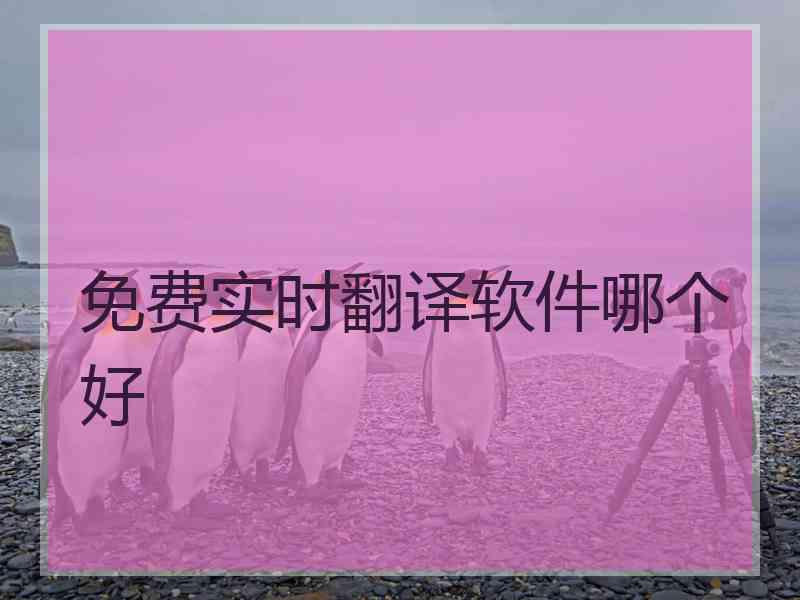 免费实时翻译软件哪个好