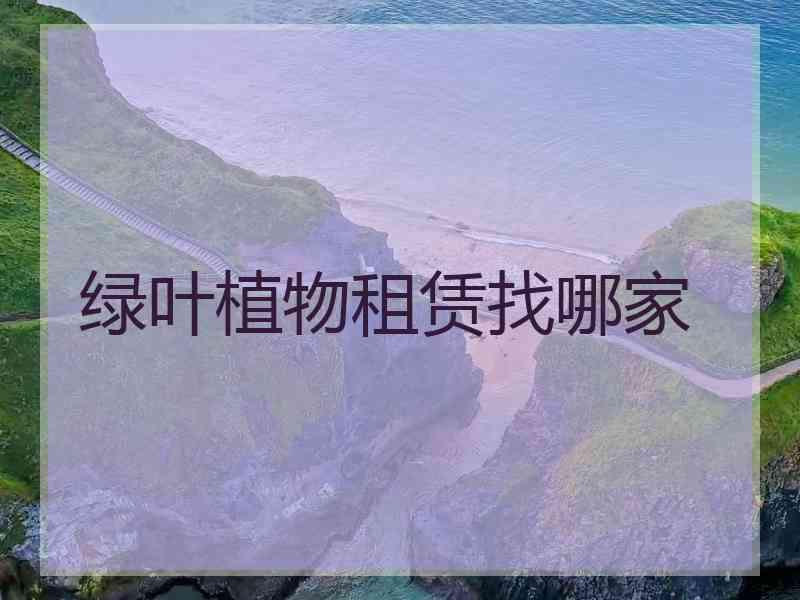 绿叶植物租赁找哪家