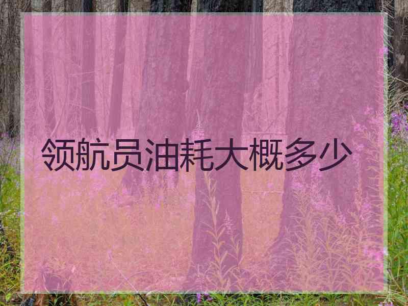 领航员油耗大概多少