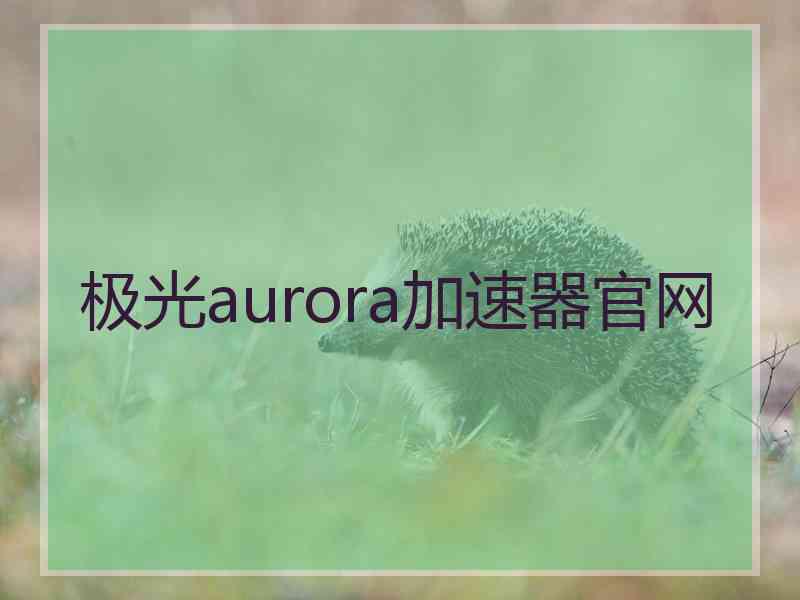 极光aurora加速器官网