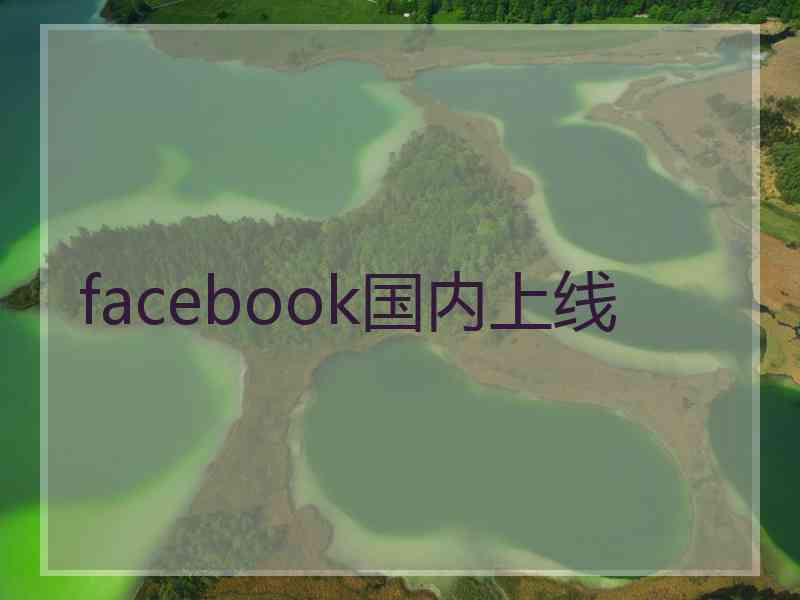 facebook国内上线