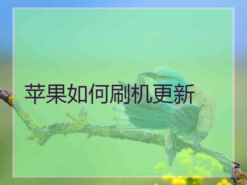 苹果如何刷机更新