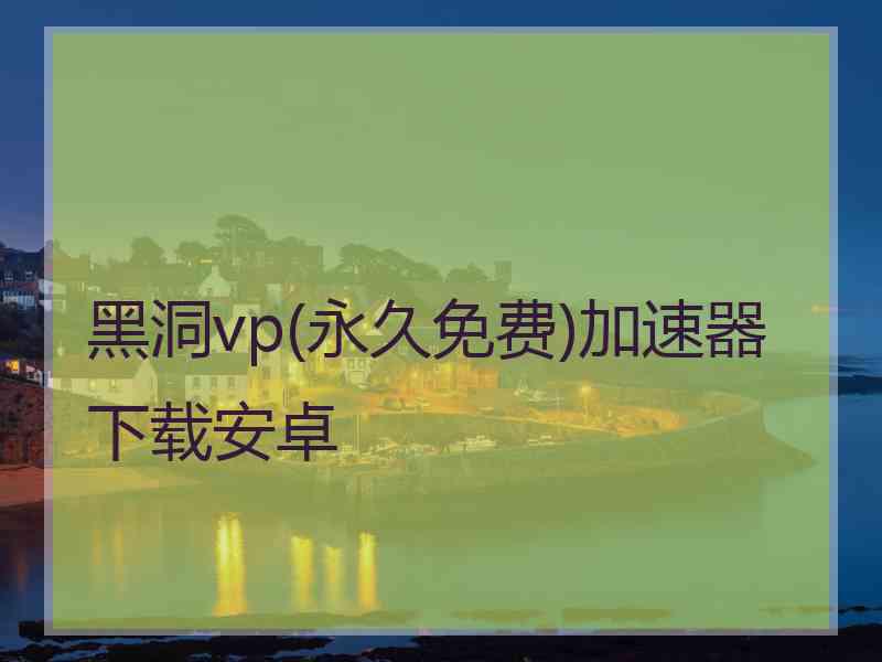 黑洞vp(永久免费)加速器下载安卓