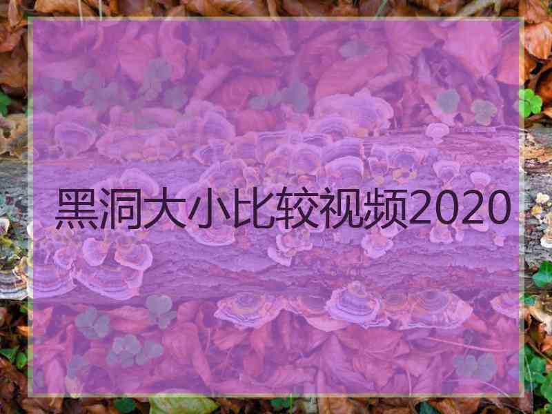 黑洞大小比较视频2020