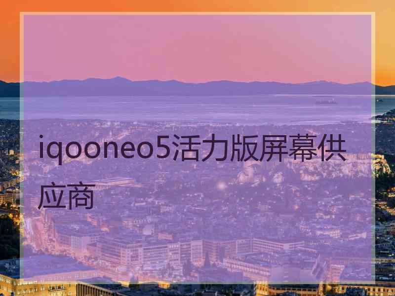 iqooneo5活力版屏幕供应商