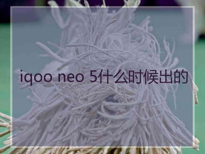 iqoo neo 5什么时候出的