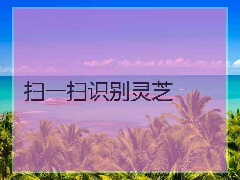 扫一扫识别灵芝