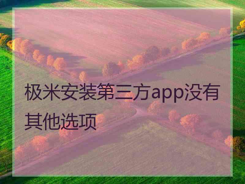 极米安装第三方app没有其他选项