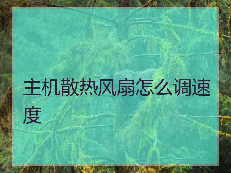 主机散热风扇怎么调速度