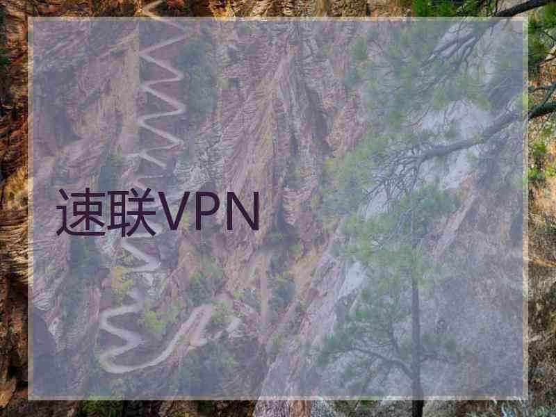 速联VPN