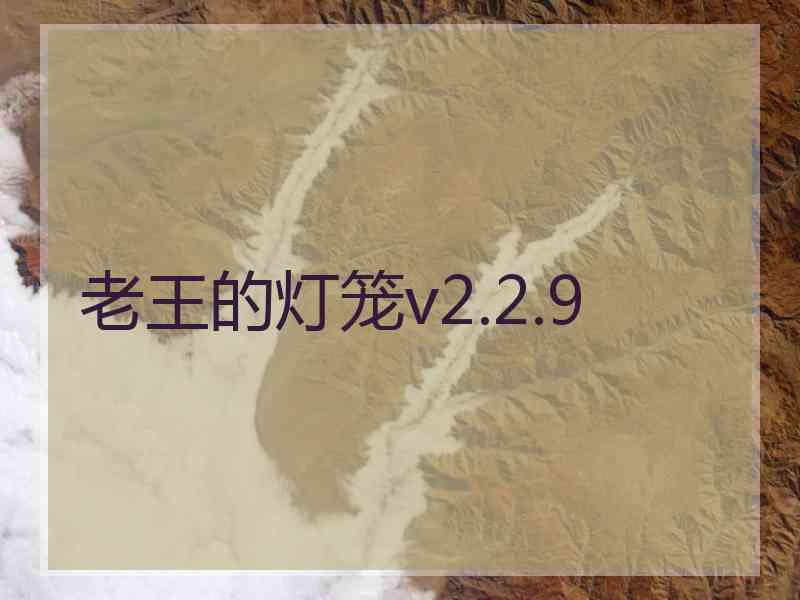 老王的灯笼v2.2.9