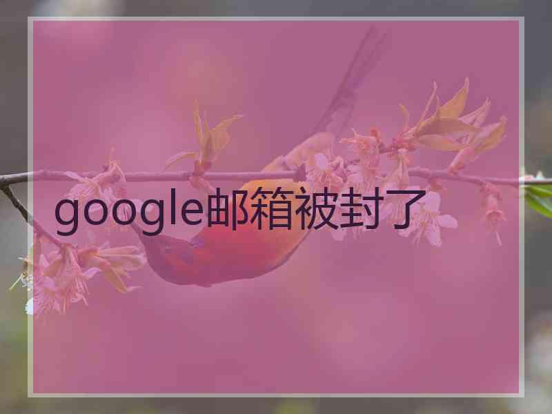 google邮箱被封了