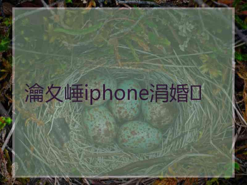 瀹夊崜iphone涓婚