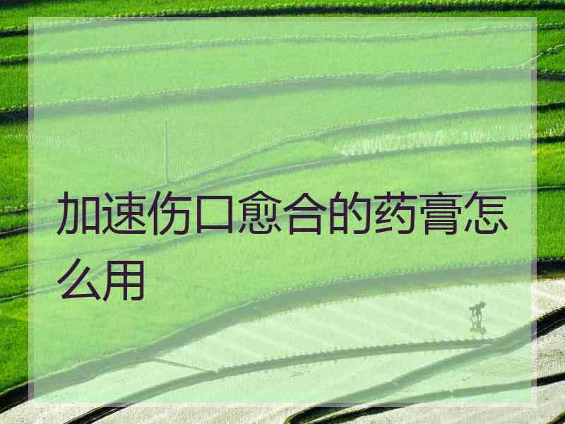 加速伤口愈合的药膏怎么用