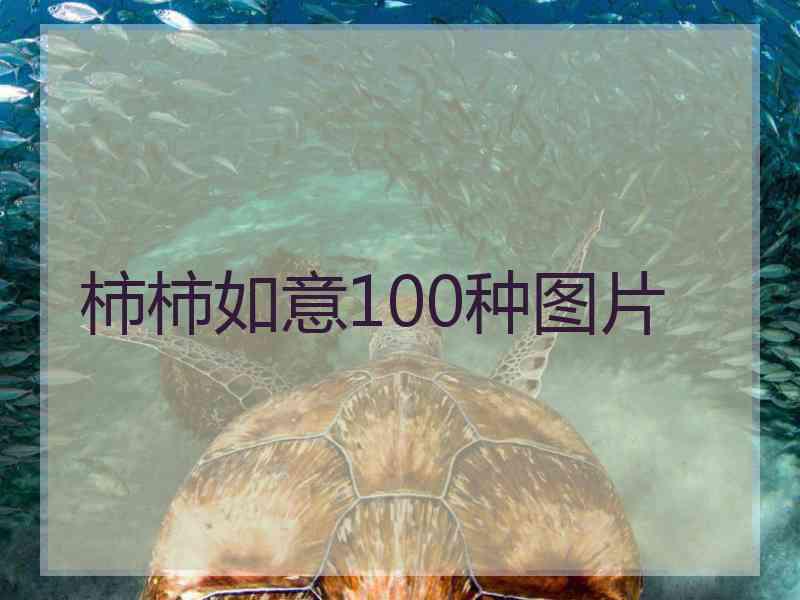 柿柿如意100种图片