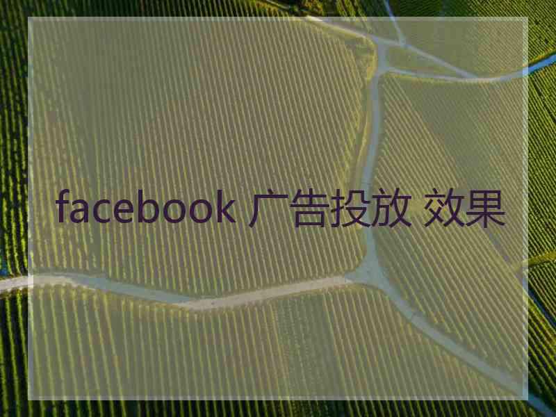 facebook 广告投放 效果