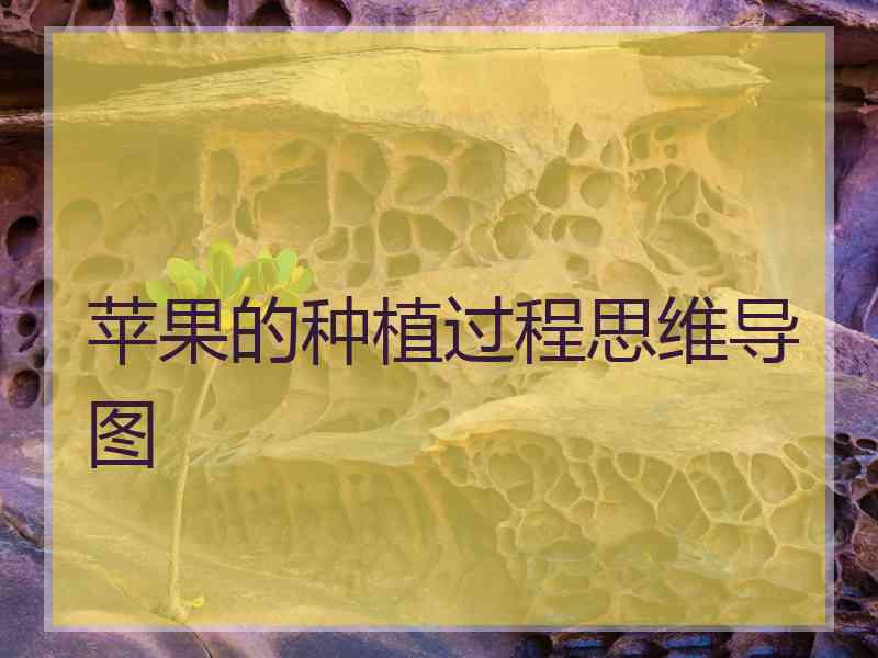 苹果的种植过程思维导图