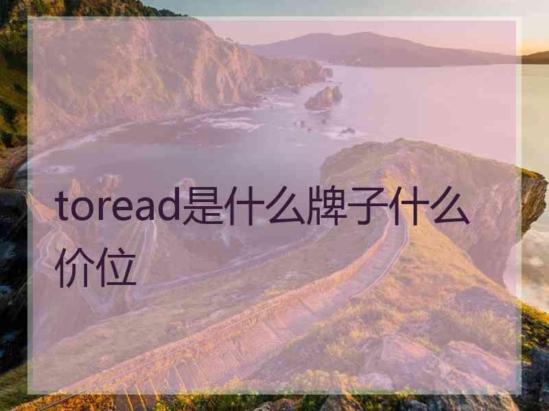 toread是什么牌子什么价位